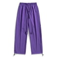 thumbnail image 6 of Stamzod Hiking Pants Women Outdoor Travel Camping Workout Cargo Pants Solid Color Stretch Waist Waterproof Pants Women Activewear Casual Loose Plus Size Pants with Pocket Purple C L, 6 of 8