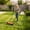 Orange-14inch, variant on Push Reel Lawn Mower 14 Inch, 5-Blade Manual Reel Mower Walk-Behind, Adjustable Cutting Height Hand Push Mower for Small to Medium Yards, Quiet Lawn Care Tool, Green