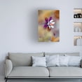 thumbnail image 2 of Canvas Wall Art - Jacky Parker 'Columbine' Wall Art for Living Room, Bedroom, or Office Décor by Trademark Fine Art - 30 x 47 Inches, 2 of 4