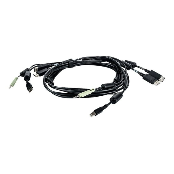 Avocent - Clavier / Vidéo / Souris / Câble audio - USB Type B, Mini-Jack, Port d'Affichage (M) à USB, Mini-Jack, Port d'Affichage (M) - 6 ft - pour Cybex SC940D