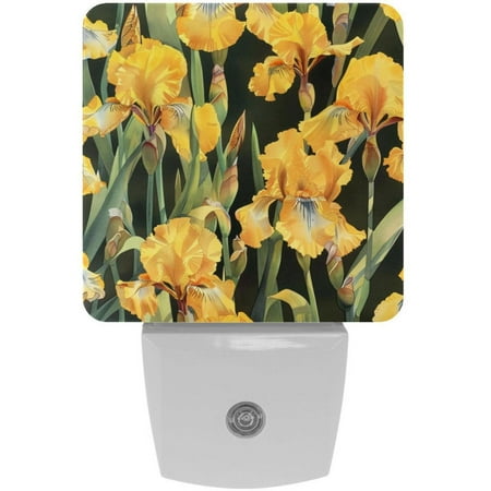 PhooArto Yellow Floral Iris Pattern Plug in LED Night Light Auto Sensor Dusk to Dawn Decorative Night for Bedroom Bathroom Kitchen Hallway Stairs Baby s Room Energy Saving