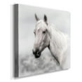 thumbnail image 2 of Wild and Free-Premium Gallery Wrapped Canvas - Ready to Hang, 2 of 3