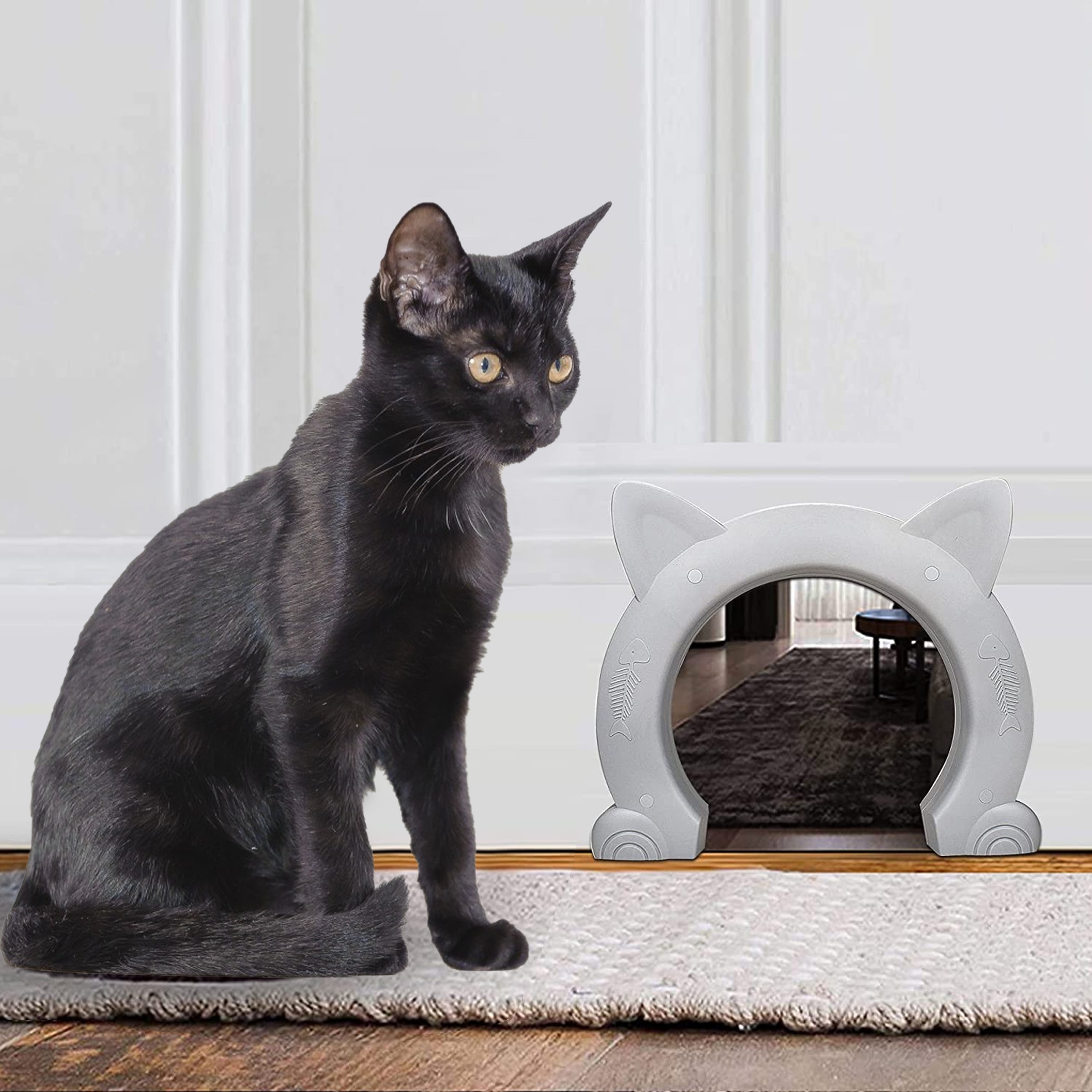 Diy cat door 2025 in hollow door