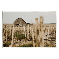 Stupell Industries Rustic Old Barn Landscape Photography Unframed Art Print Wall Art, 15 x 10