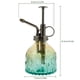thumbnail image 5 of Botella Pulverizadora Plant Mister de Vidrio Vintage de 200 Ml, 5 of 6