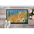 thumbnail image 2 of Carolines Treasures SS8016MAT Tapis Intérieur Extérieur 18 x 27 Po. Basenji, 2 of 4