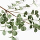 thumbnail image 3 of VGIA 6 piezas de plantas artificiales, tallos de eucalipto, aerosol de hojas de eucalipto en tallos verdes, plantas de plástico de seda, florales para decoración del hogar, fiesta, boda VGIA NA, 3 of 6