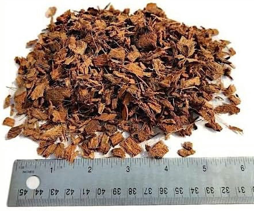 ReptiChip Reptile Bedding Loose Coconut Chip 36 Quart Coco Husk Substrate Mulch for Snake Habitat, Ball Python Terrarium, Turtle Tanks, Tortoise Enclosure