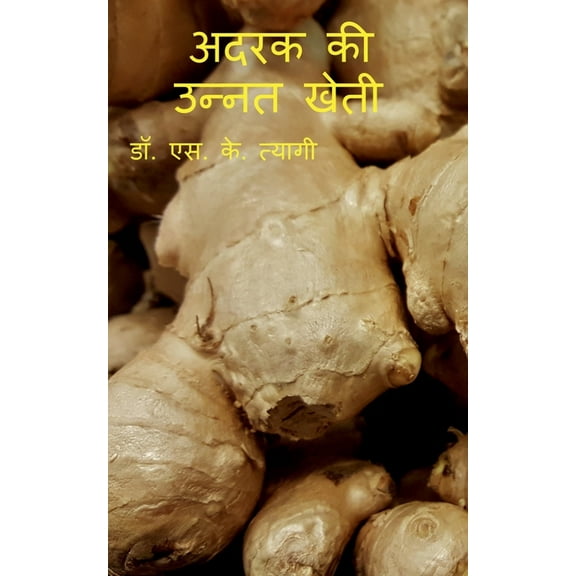 Improved Cultivation of Ginger / अदरक की उन्नत ख, (Paperback)