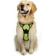 thumbnail image 1 of Rabbitgoo Arnés para Perros, Arnés para Mascotas sin Tirones con 2 Clips para Correa, Chaleco para Perros Acolchado Suave y Ajustable, Chaleco Oxford Reflectante para Mascotas sin asfixia con asa de f, 1 of 4