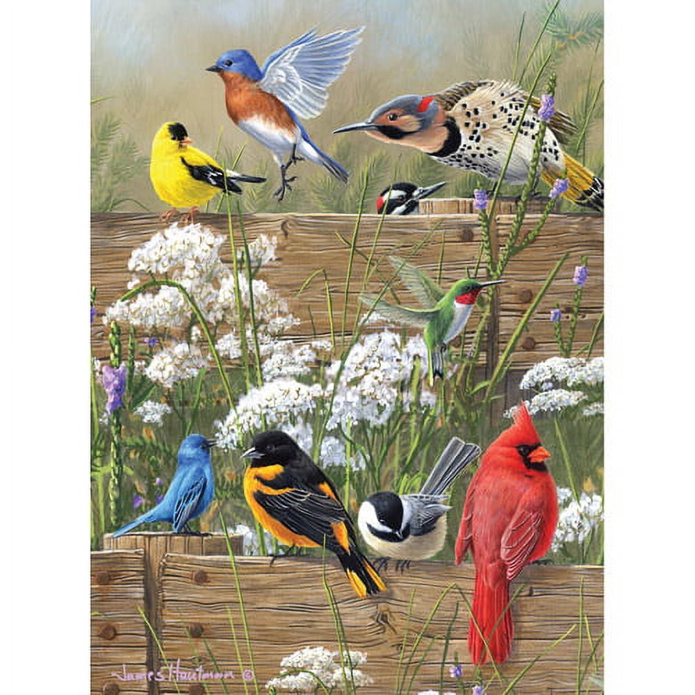 Buffalo Games Hautman Brothers Songbird Menagerie Jigsaw Puzzle