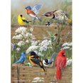 thumbnail image 2 of Buffalo Games Hautman Brothers Songbird Menagerie Jigsaw Puzzle, 2 of 2