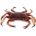 thumbnail image 1 of SHISUYAN Realistic Simulation Crab Model Educational Plastic Simulated Crab Model Artificial Animal Model, 1 of 8