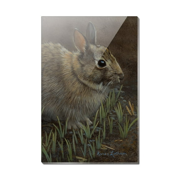 Backyard Bunny Rabbit Hare Rectangle Acrylic Fridge Refrigerator Magnet