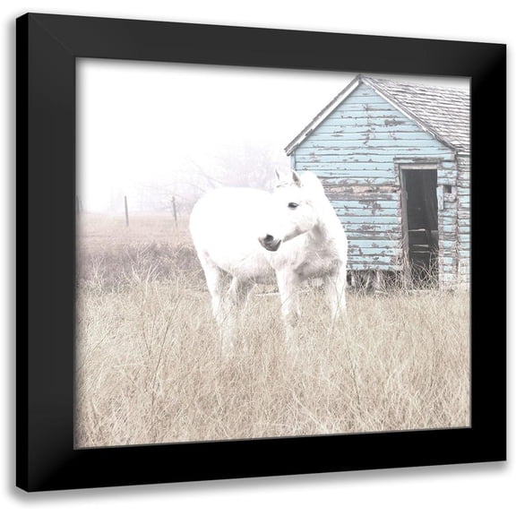 Robinson, Carol 12x12 Black Modern Framed Museum Art Print Titled - High Key Horse I