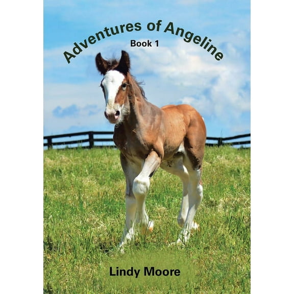 Adventures of Angeline: Book 1, (Paperback)