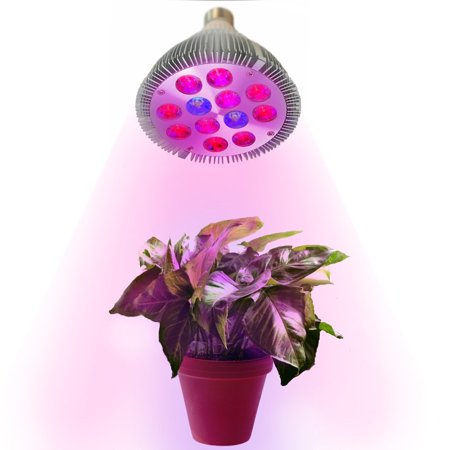 HQRP 12W PAR38 12 Spot LED Blue + Red E26 E27 Bulb Grow Light for growing Flowers Bonsai, Orchids, Saffrons, Hibiscus + UV