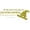 Gold, variant on Jamie Anderson Snowboarding Vinyl Decal - USA Olympics Sticker / Decor - 20"x10"