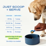 Native Pet The Daily 11-in-1 Dog Supplement for Overall Wellness with Vitamins, Glucosamine & Collagen, 9.25oz