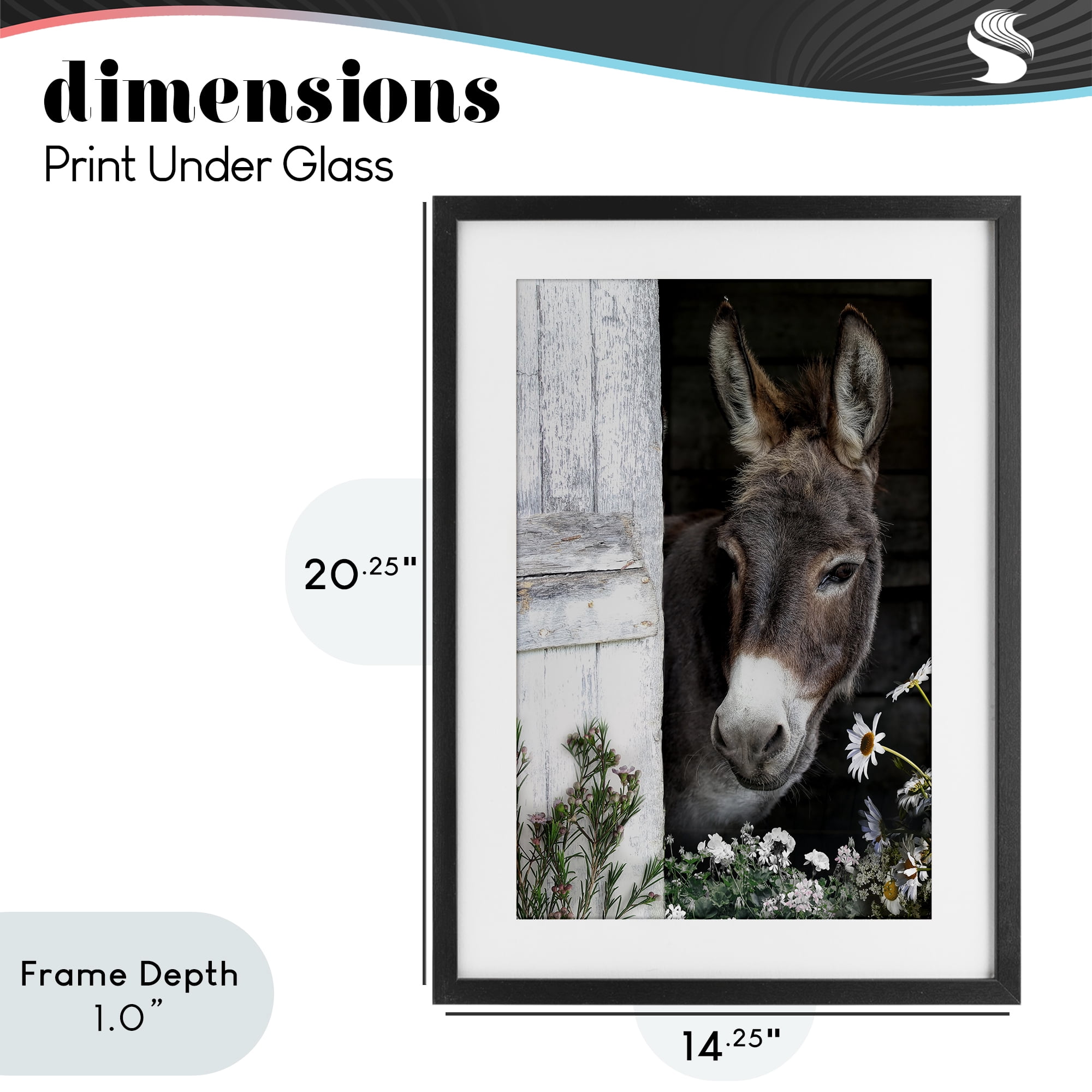 Stupell Industries Gentle Donkey Peering from Barn Black Framed Print Under Glass, design by CAD Designs