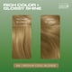 thumbnail image 4 of Tinte para el cabello Clairol Natural Instincts 8A Medium Cool Blonde x1, 4 of 9