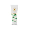 thumbnail image 1 of Crema de manos The Olive Temple con aceite de oliva - Fórmula hidratante profunda y nutritiva para manos suaves y flexibles (Aloe) 3.38 fl. onz, 1 of 5