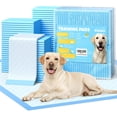 thumbnail image 1 of Puppy Pads Powools, tamaño XL, paquete de 50 unidades, 6 capas, 34 x 28 cm, para perros, 1 of 9