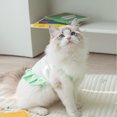 thumbnail image 5 of Paquete de 2 camisas para perro, falda, camisetas de ballet, chaleco de algodón, vestido plisado, ropa para cachorros, camisas de verano, lindas camisetas, ropa suave para mascotas para pequeños y, 5 of 5