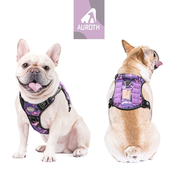 Auroth No Pull Dog Harness with Handle, Service Harness for Small Dogs, Adjustable Easy on Puppy Harness, Reflective Comfortable Padded Dog Harness Vest, Small Dog Harness for Training Running