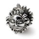Perles de Réflexion QRS1625 Sterling Silver Sun Bead – image 1 sur 1