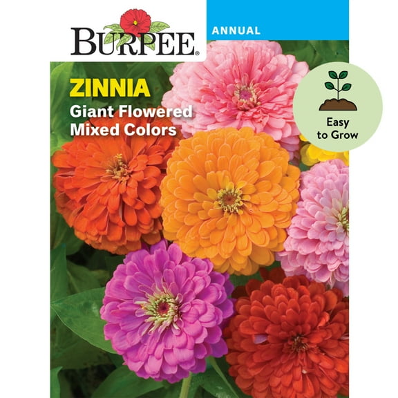 Burpee Giant Flowered Zinnia Flower Seeds, Huge Double Blooms