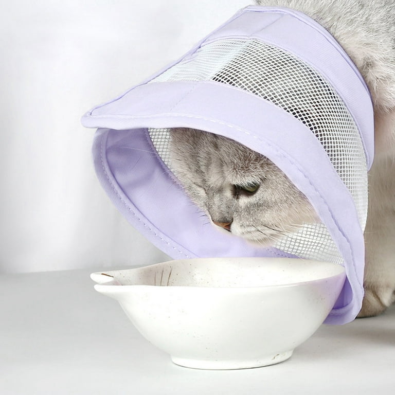 International pet supplies hotsell
