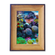 thumbnail image 1 of Ocean Coral colorido ciencia naturaleza foto Marco de imagen marco de escritorio, 1 of 4