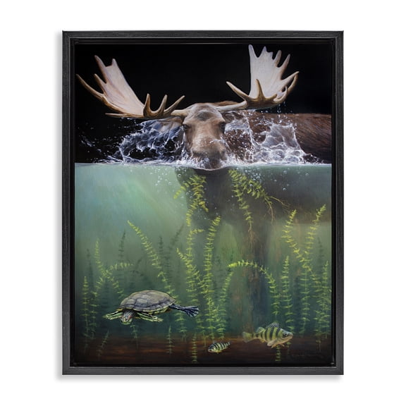 Stupell Industries Traditional Moose Underwater View Black Floating Frame Canvas Art, 17 x 21, by James Corwin