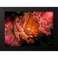 thumbnail image 2 of Carson, Brian 14x11 Black Modern Framed Museum Art Print Titled - Roses, 2 of 5