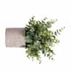 thumbnail image 3 of Maceta de flores falsa Mesa interior Mini Bonsai artificial Decoración del hogar Flor en maceta de simulación Methold HA8899-00B, 3 of 6