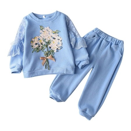 

Akiihool Toddler Girl Fall Outfits Toddler Girl Clothes Baby Girl Long Sleeve Top + Jeans Pants with Pockets 2 Piece Outfit Clothing Set (Blue 12-18 Months)