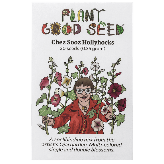 Plant Good Seed Chez Sooz Hollyhock Seeds for Planting