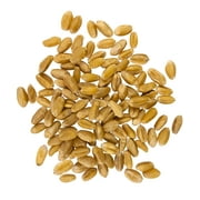 Certified Glyphosate Residue Free Hard White Wheat Berries | 25 LBS | Emergency Food Storage Bucket | Non-GMO | Grown on Our Family Farm | Bulk