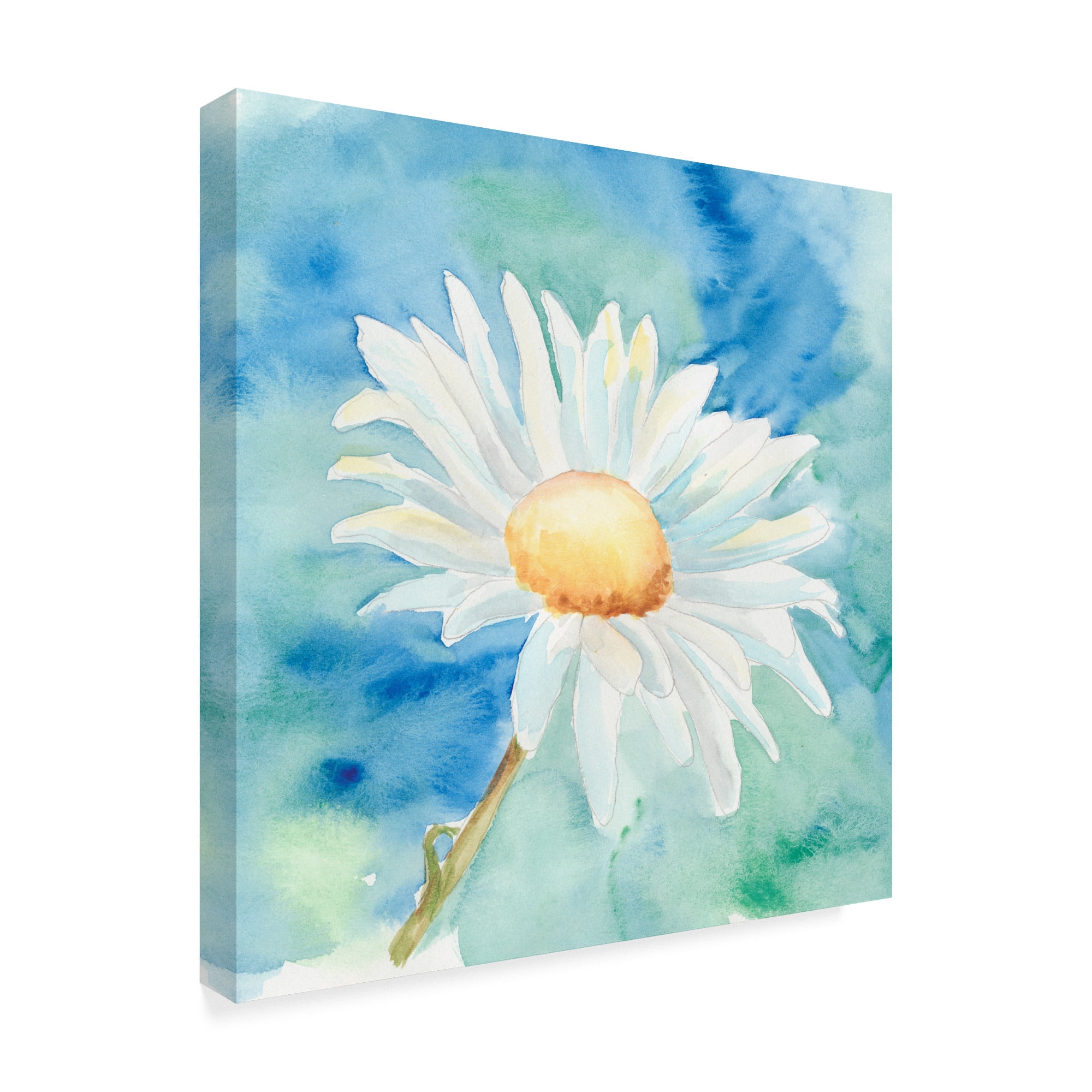 Trademark Fine Art 'Daisy Sunshine II' Canvas Art by Regina Moore