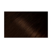Bigen Powder Hair Color, Chocolate