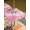 Pink, variant on Outdoor Tablecloth with Umbrella Hole and Zipper, Valentine's Day Square Table Cloth 60x60 Inch Waterproof Tablecloth, Watercolor Roses Floral Ombre Romantic Picnic Table Cover for Patio Camping