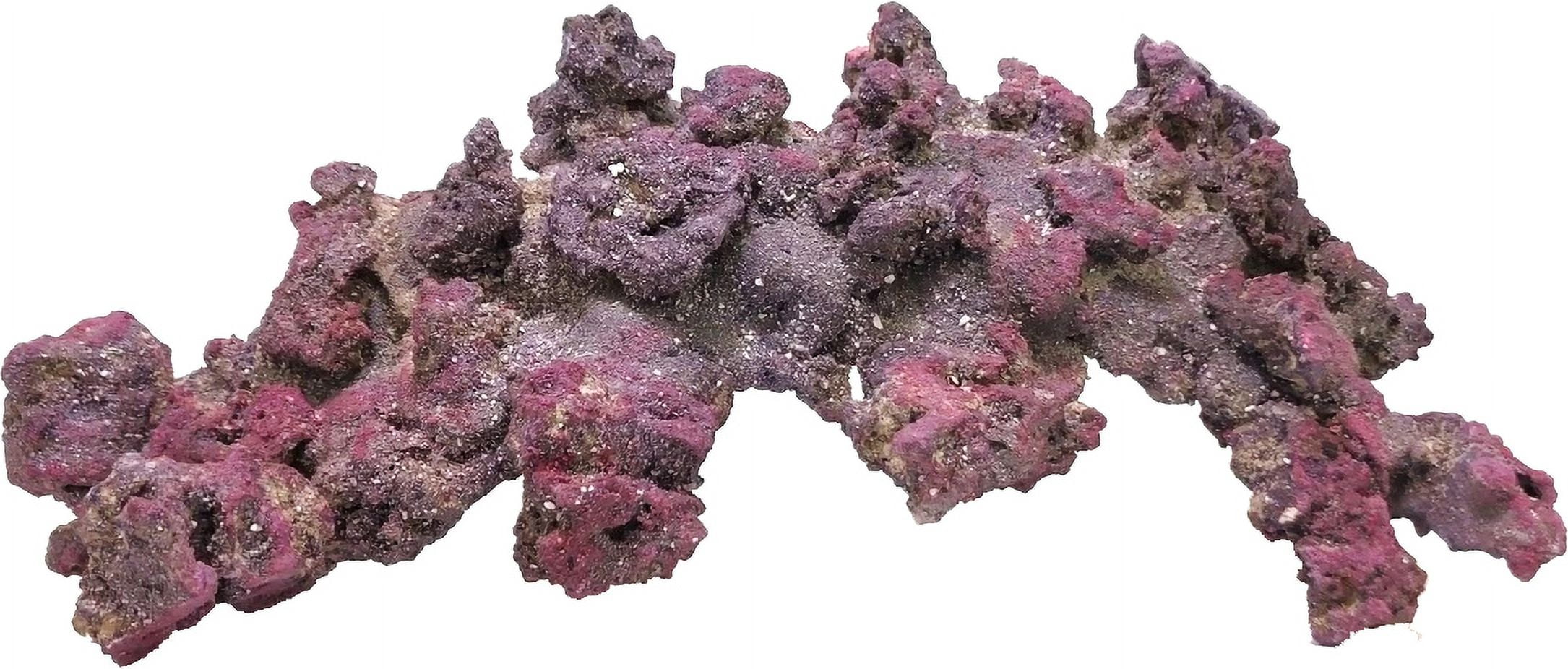 Caribsea Life Rock Arches for Reef Aquariums 20 lbs (4 x 12" Rocks)