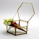 thumbnail image 4 of Modern Tabletop Glass Geometric Terrarium Container Window Pot Box, Macarena Jardinera de Terrario Geométrica, 4 of 8