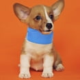 thumbnail image 4 of Collar refrescante para perros en verano, collar refrescante para perros con bolsa de hielo, collar para mascotas, 4 of 5