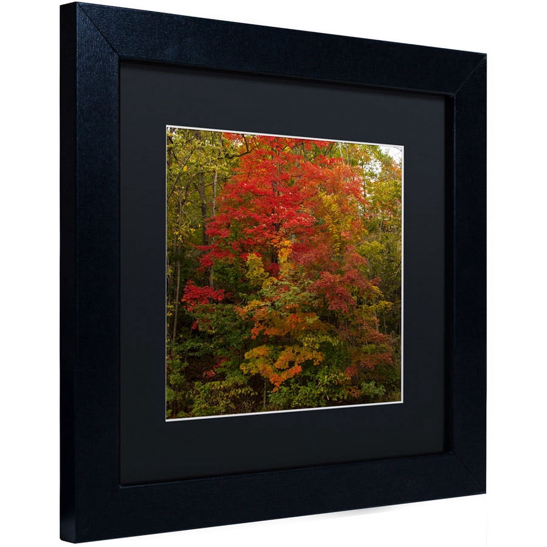 Trademark Fine Art "Why I Love Autumn 2" Canvas Art by Kurt Shaffer, Black Matte, Black Frame