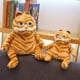 thumbnail image 5 of Regalo de cumpleaños de peluche Garfield de 30 cm -- 30 cm oso de fresa Electrónica, 5 of 5