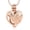 Rose Gold, variant on Hollow Parrot Urn Necklace Heart Shape Cremation Jewelry with Hollow Urn Pendant Memorial Jewelry for Human Ashes Urn Necklace