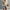 Khaki, variant on DondPO Workout Tops for Women Going Out Tops Women Tops Long Sleeve Daily Loose Blouses Tops Crop Tops for Women Sexy Tops Khaki L