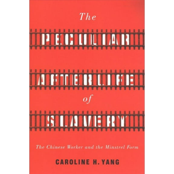 Asian America: The Peculiar Afterlife of Slavery (Paperback)